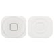 Plastic for HOME Button compatible with Apple iPhone 5, (white)